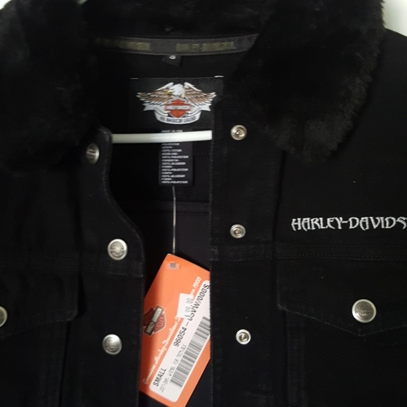 Jacket - Picture 2 of 4